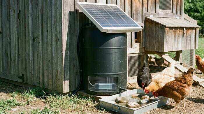 How to Sanitize Large Off Grid Poultry Waterers Automatically