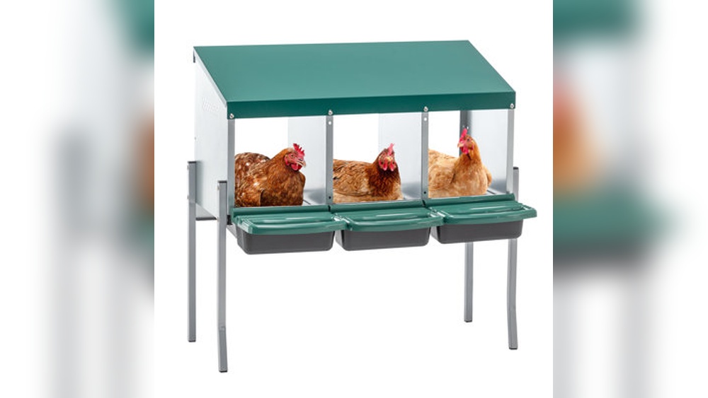 How to Improve Air Circulation in a Covered Backyard Poultry Pen