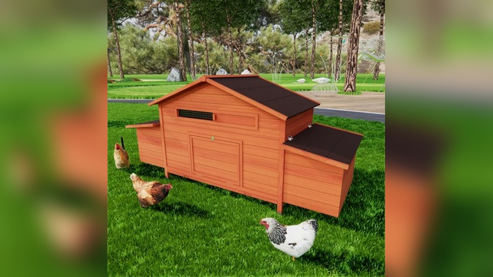 How to Secure Your Coop Windows And Doors Against Nighttime Predators