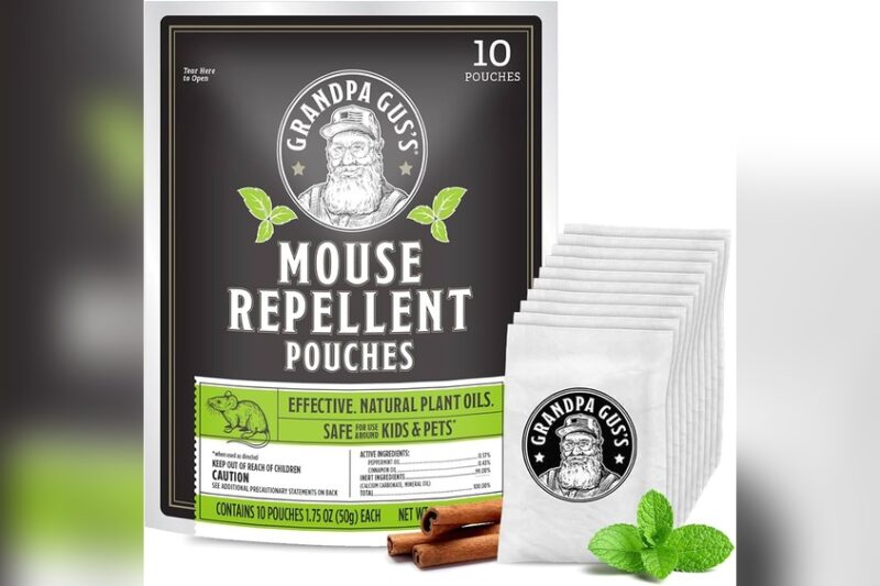 The Best Natural And Non Toxic Ways to Discourage Rodents Fast